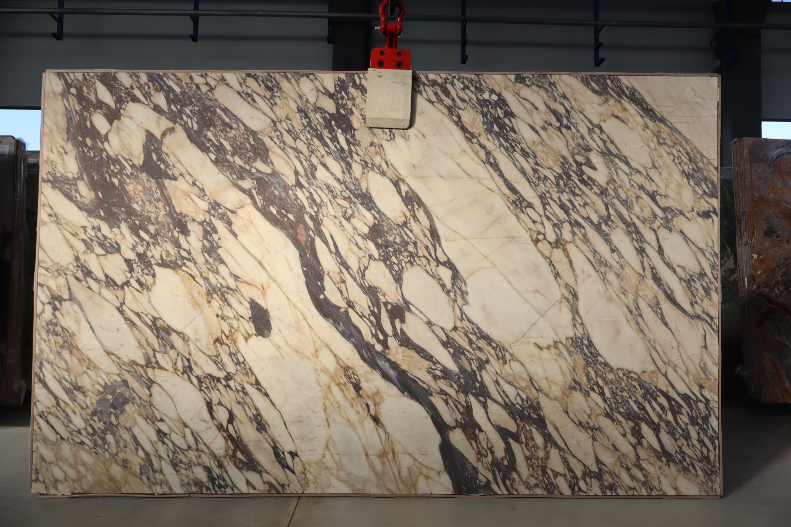 Lote D-0296 — Calacatta Viola Wow Marble Honed