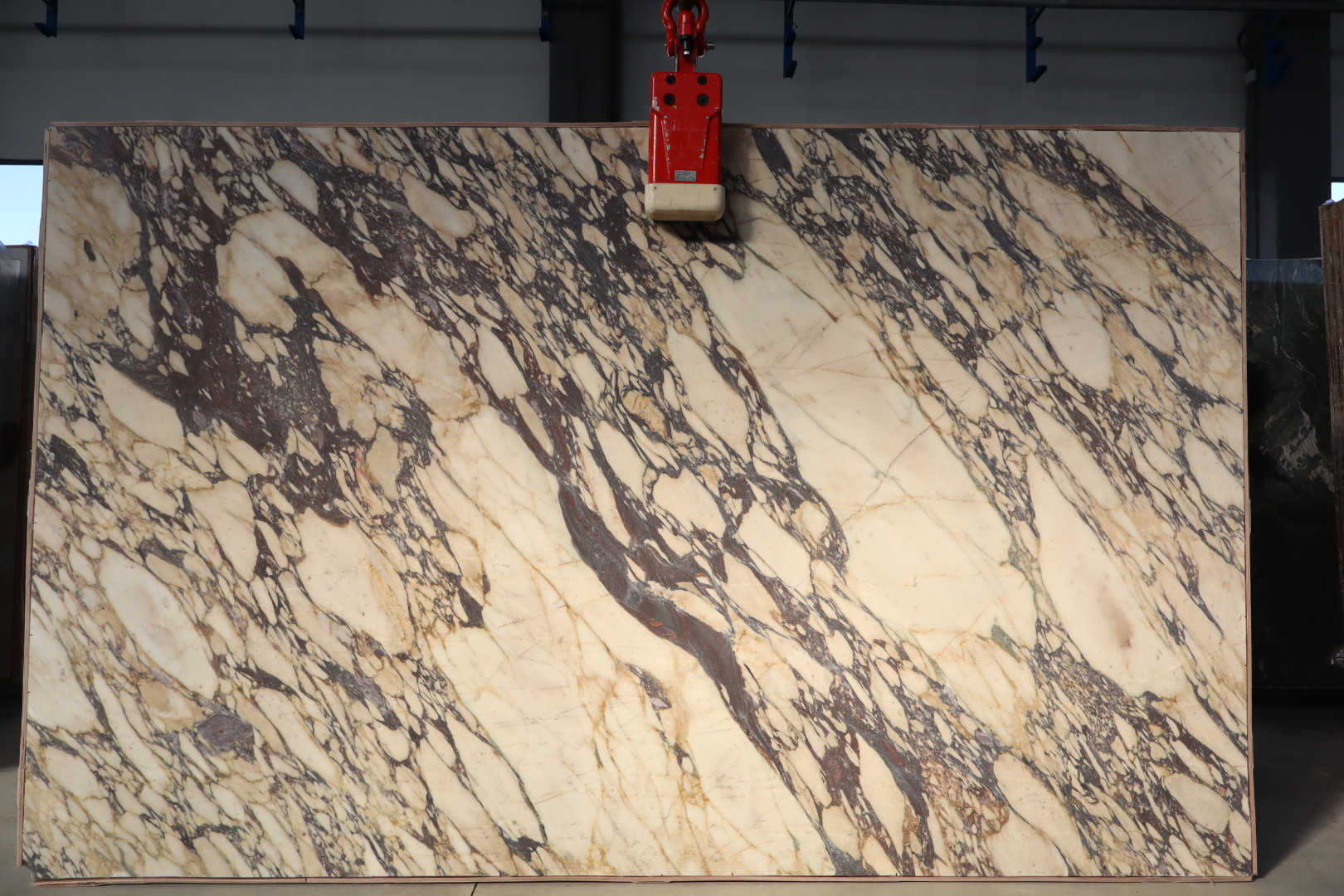 Thumbnail 2 of 2 for Calacatta Viola Wow Marble Honed