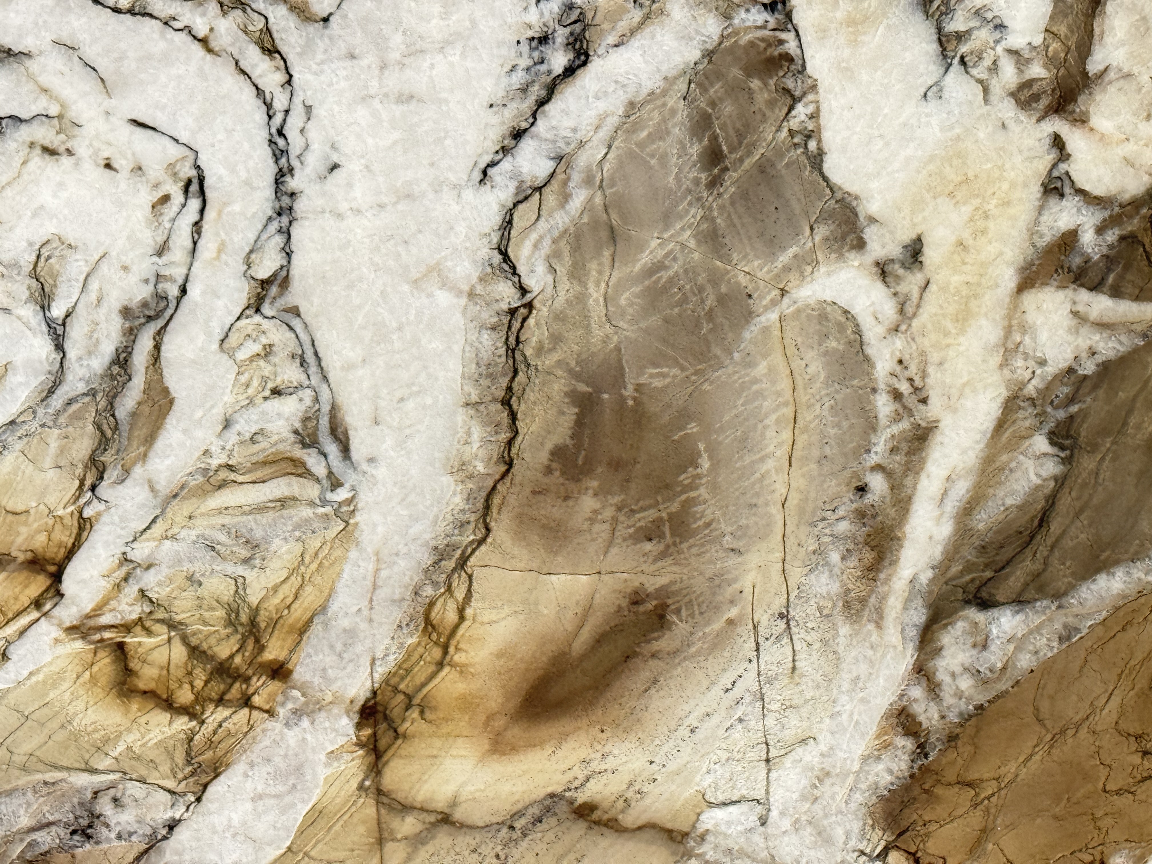 Splendido Quartzite Quartzite