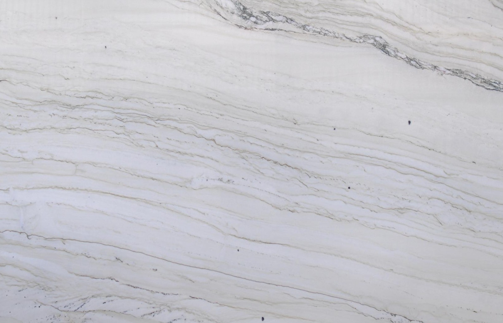 Bellagio Quartzite Leather Quartzite