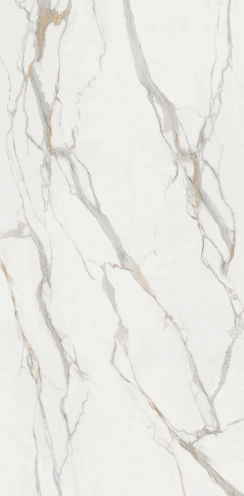 Infinity - Calacata Oro Polished 12mm - Porcelain Porcelain