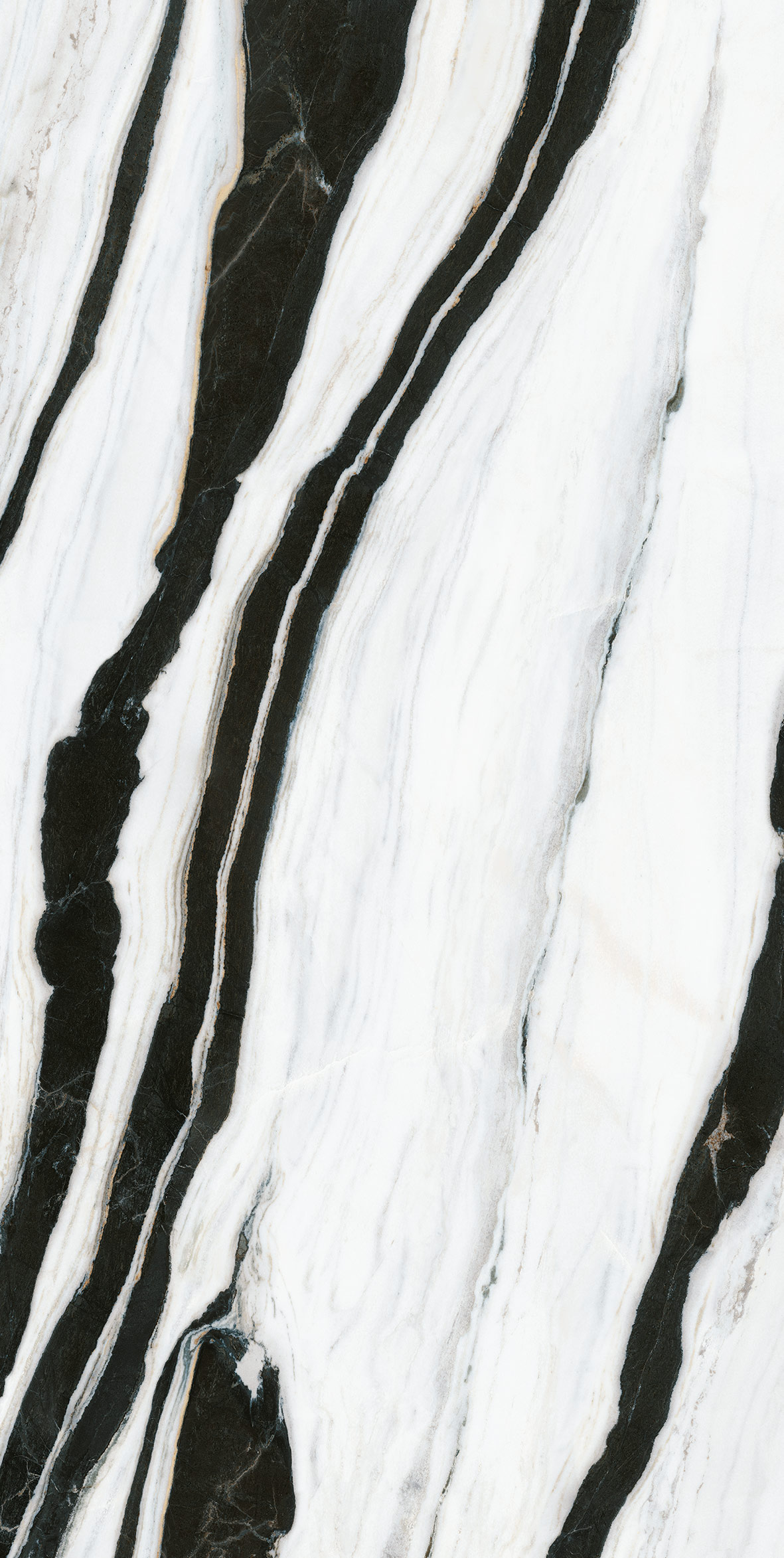 Infinity - Panda White Polished 12mm - Porcelain
