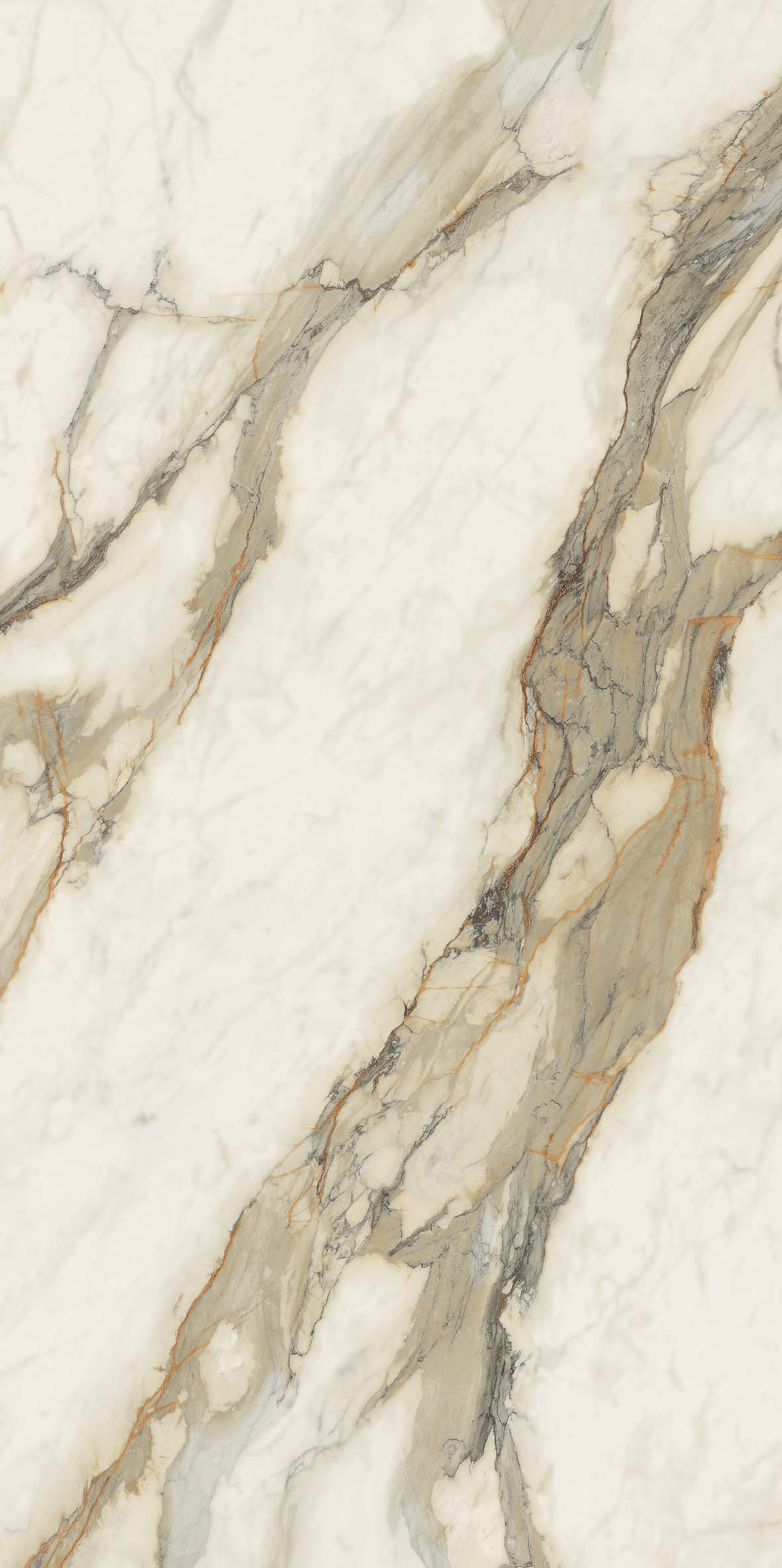 Infinity - Calacata Hermitage Polished 12mm Porcelain slab