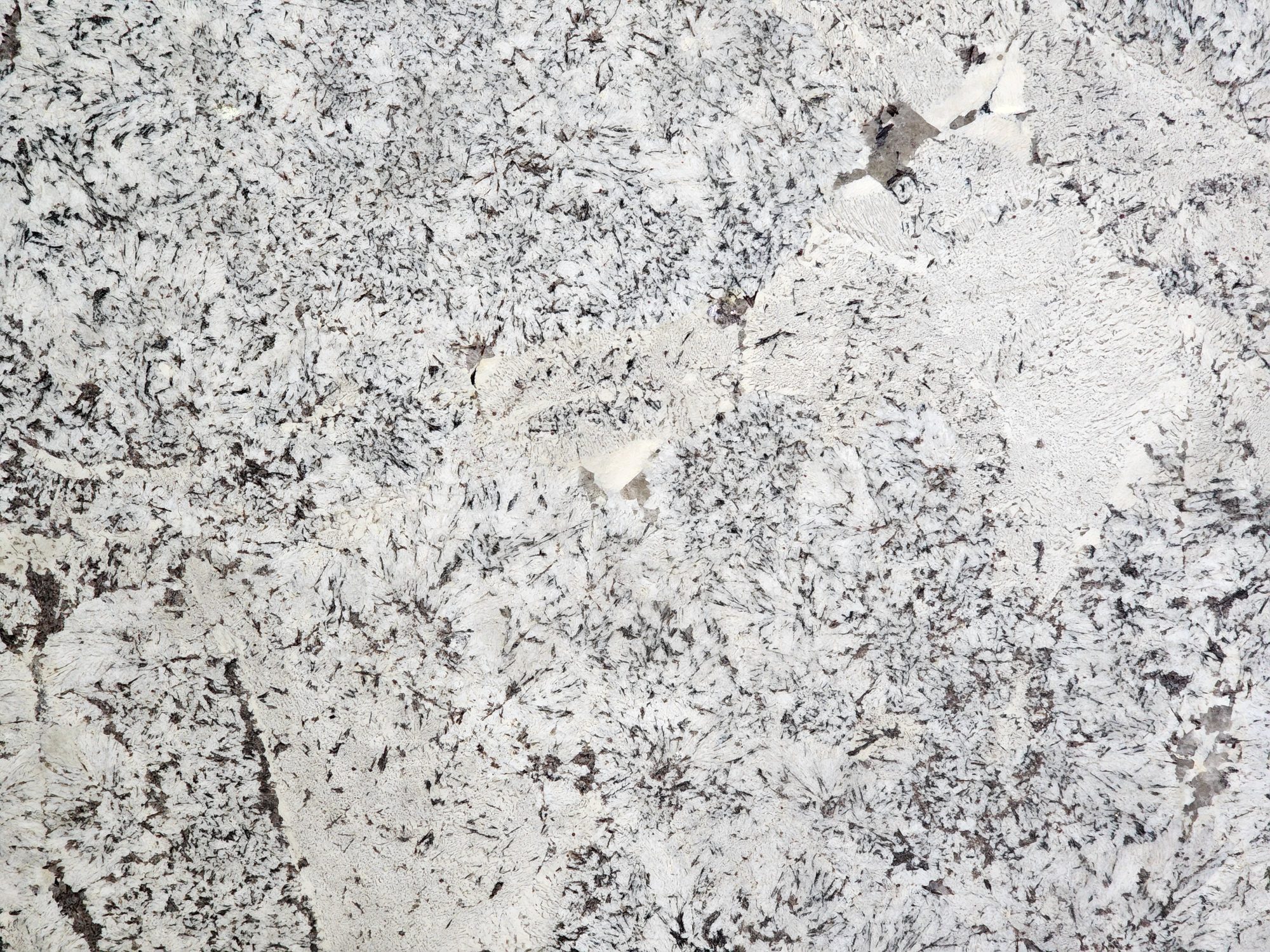 White Zurich Granito