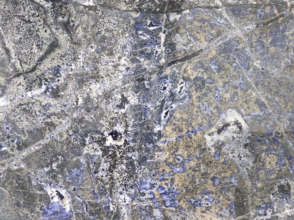Victoria Blue