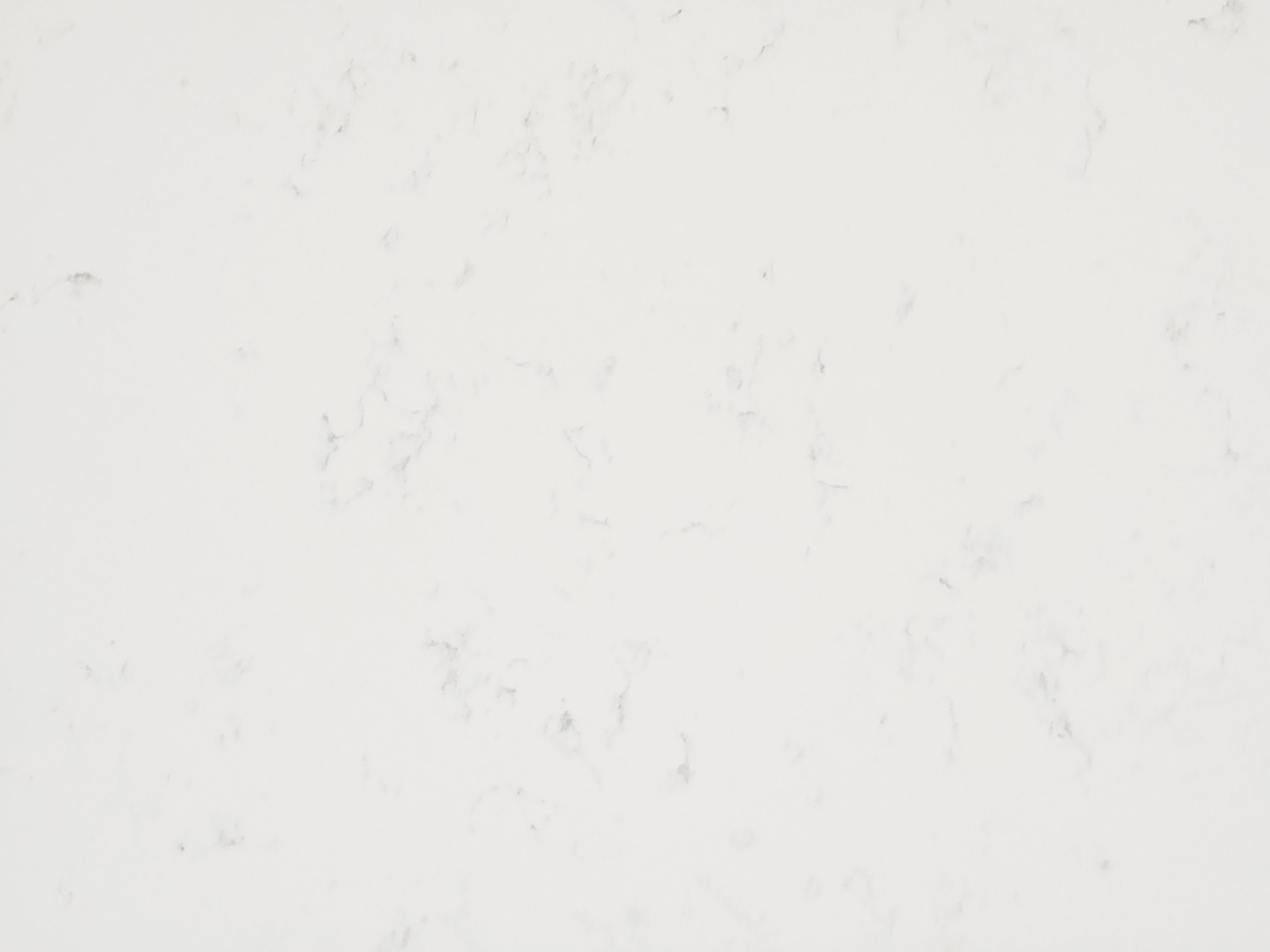 3cm Carrara Monique Super Jumbo Quartz Quartz
