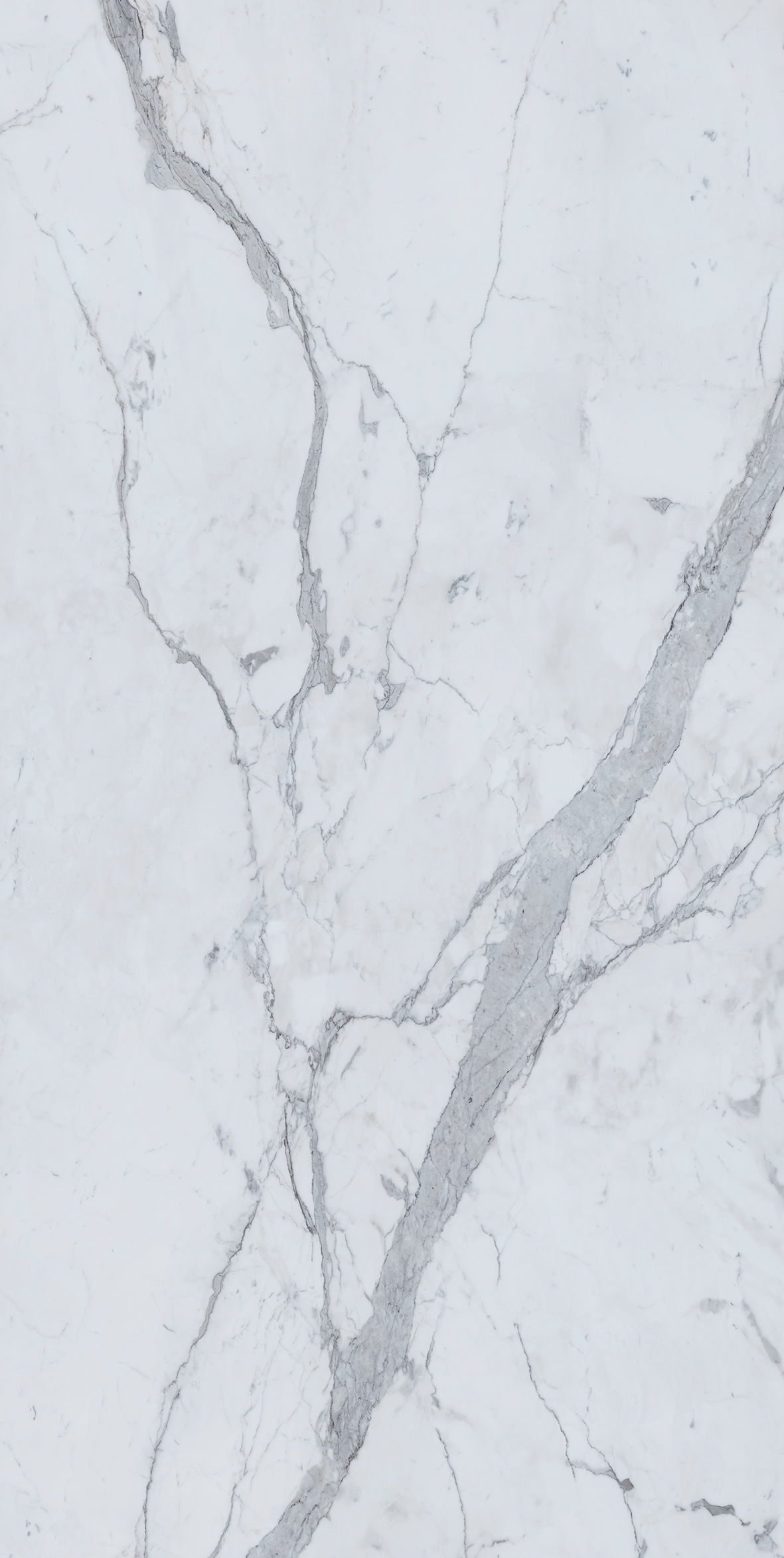 Infinity - Statuario Principe Polished 12mm - Porcelain Polished stone slab