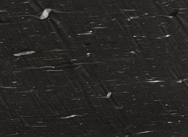 Cygnus Leather