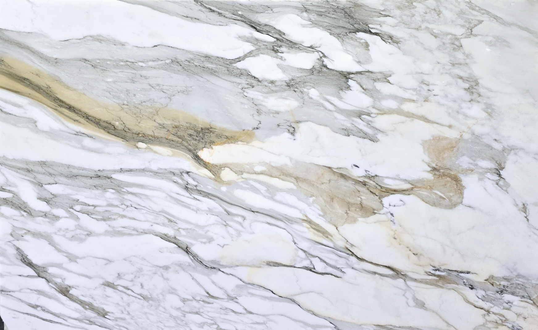 Calacatta Macchia Vecchia Marble Marble