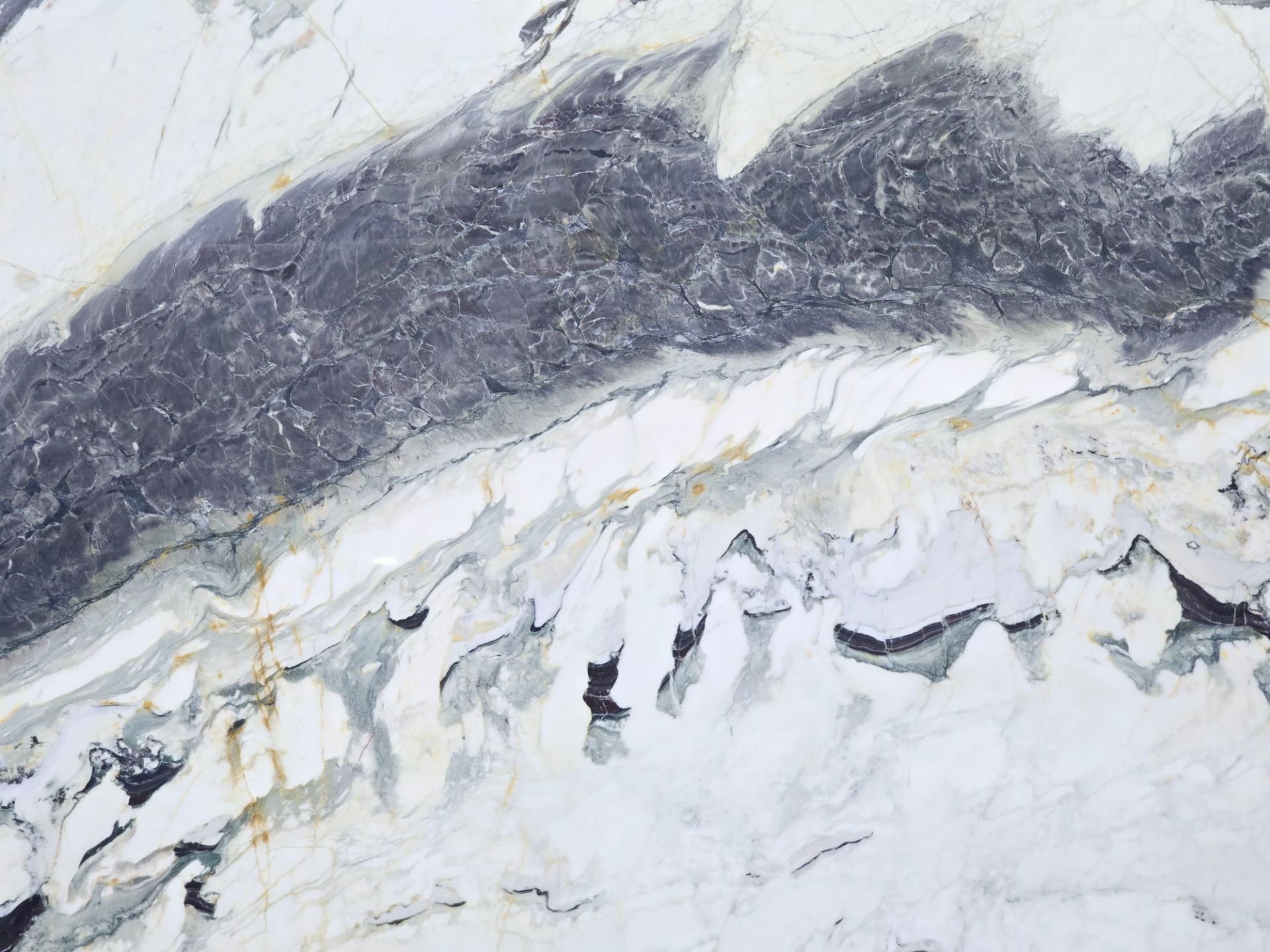 Breccia Capraia Marble Marble