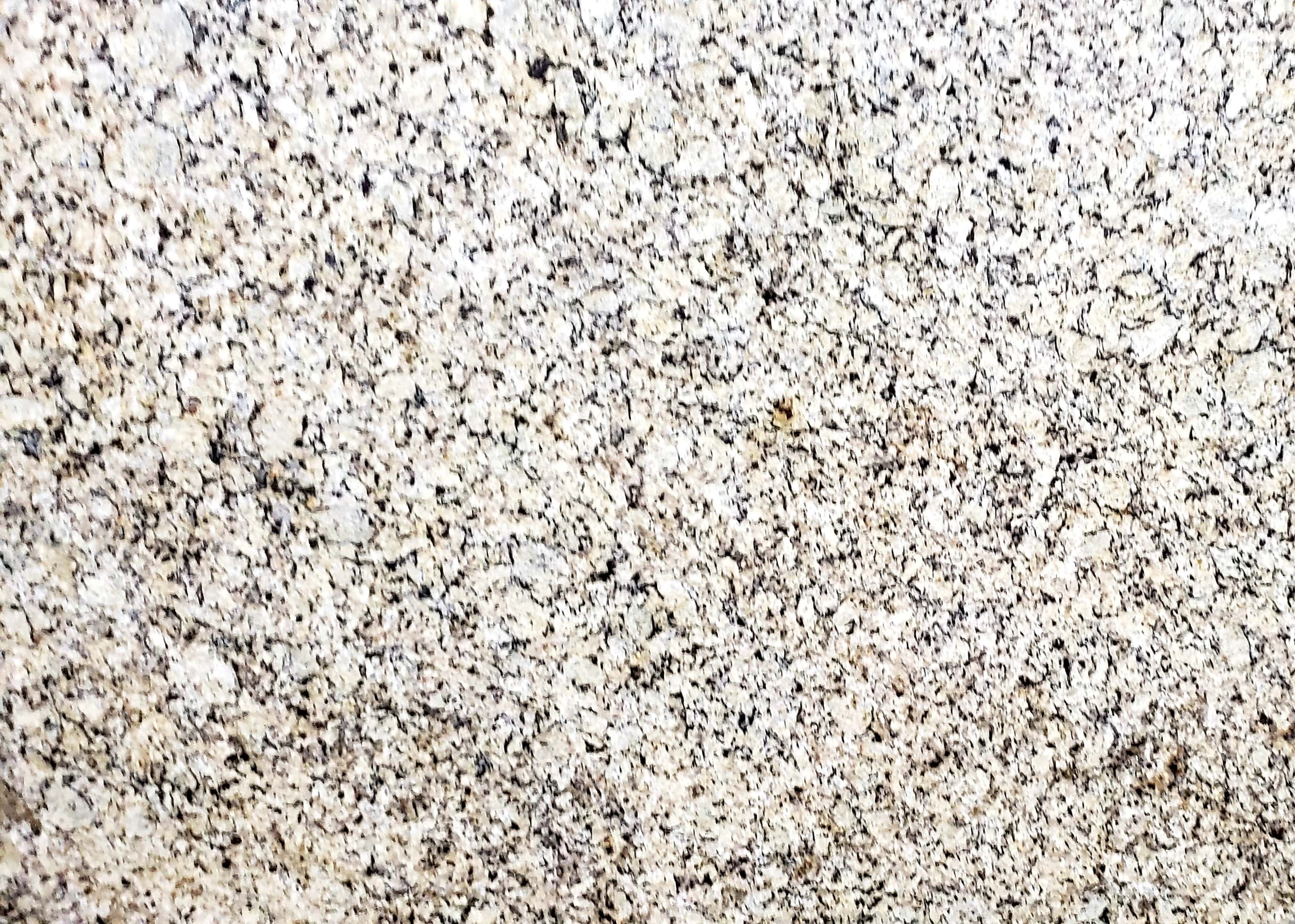 Venetian Ice Granite