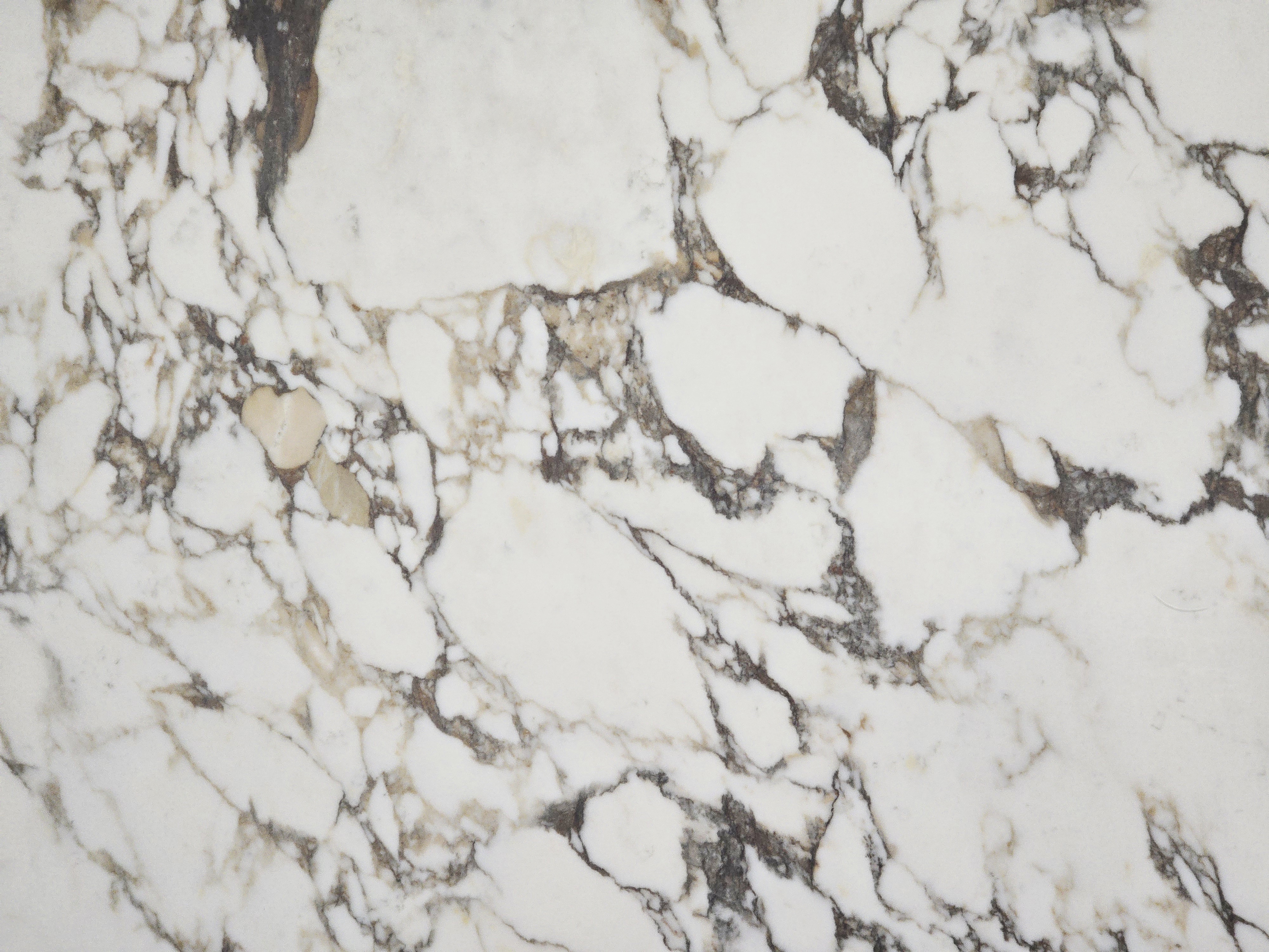 CRS - 3CM Violetta Jumbo Printed Quartz