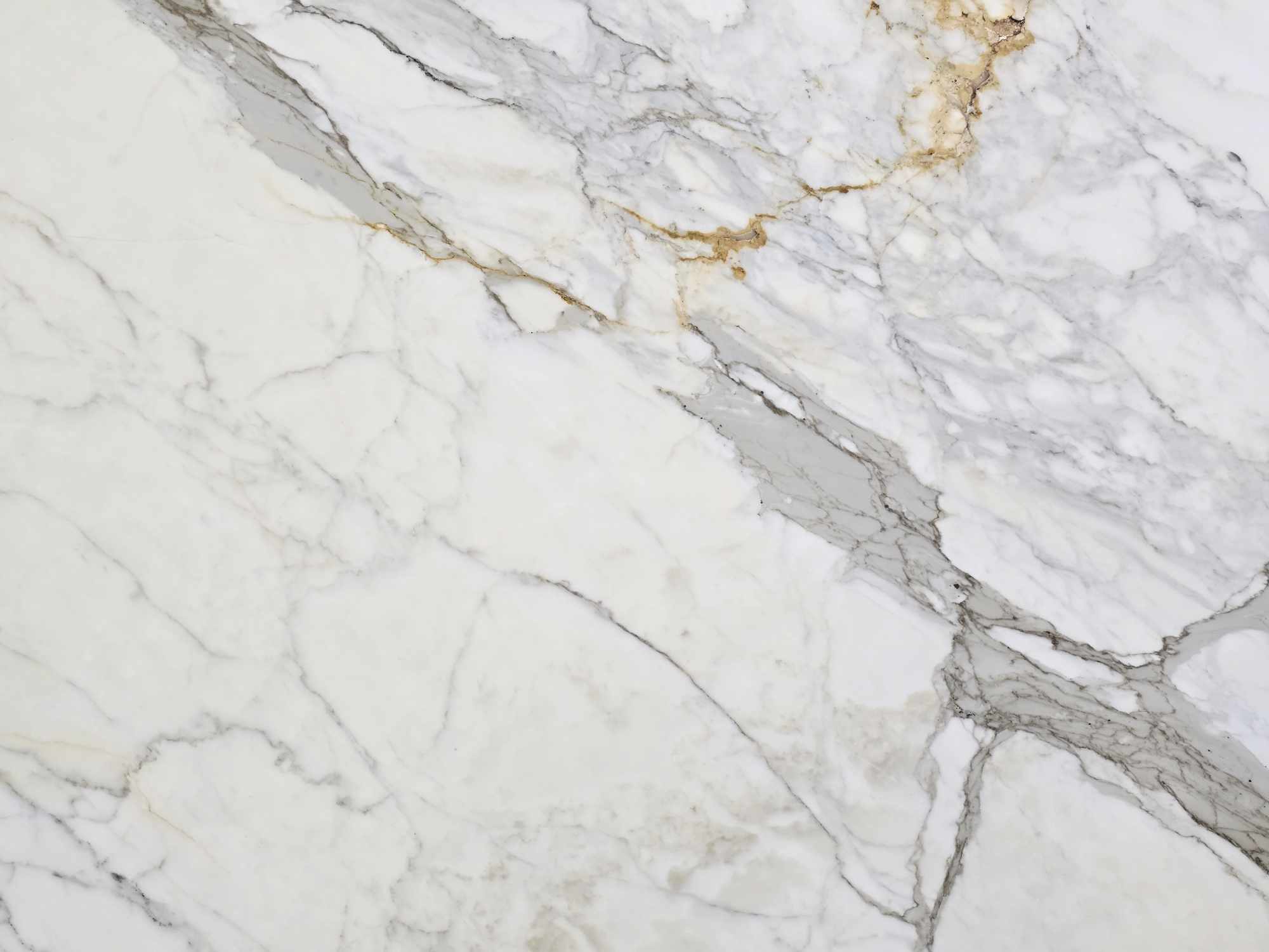 Calacatta Gold Honed Marble