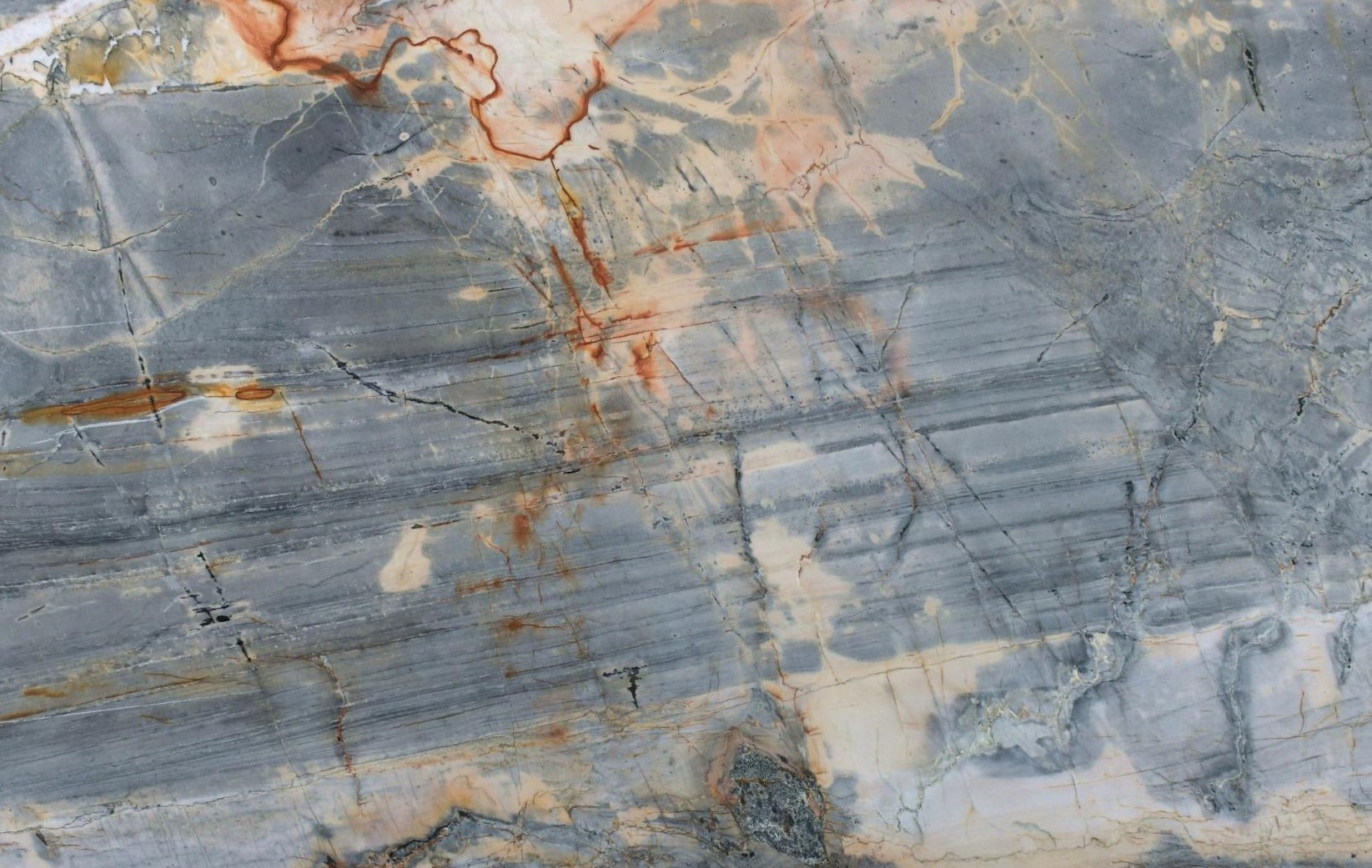 Botanic Blue Quartzite Quartzite
