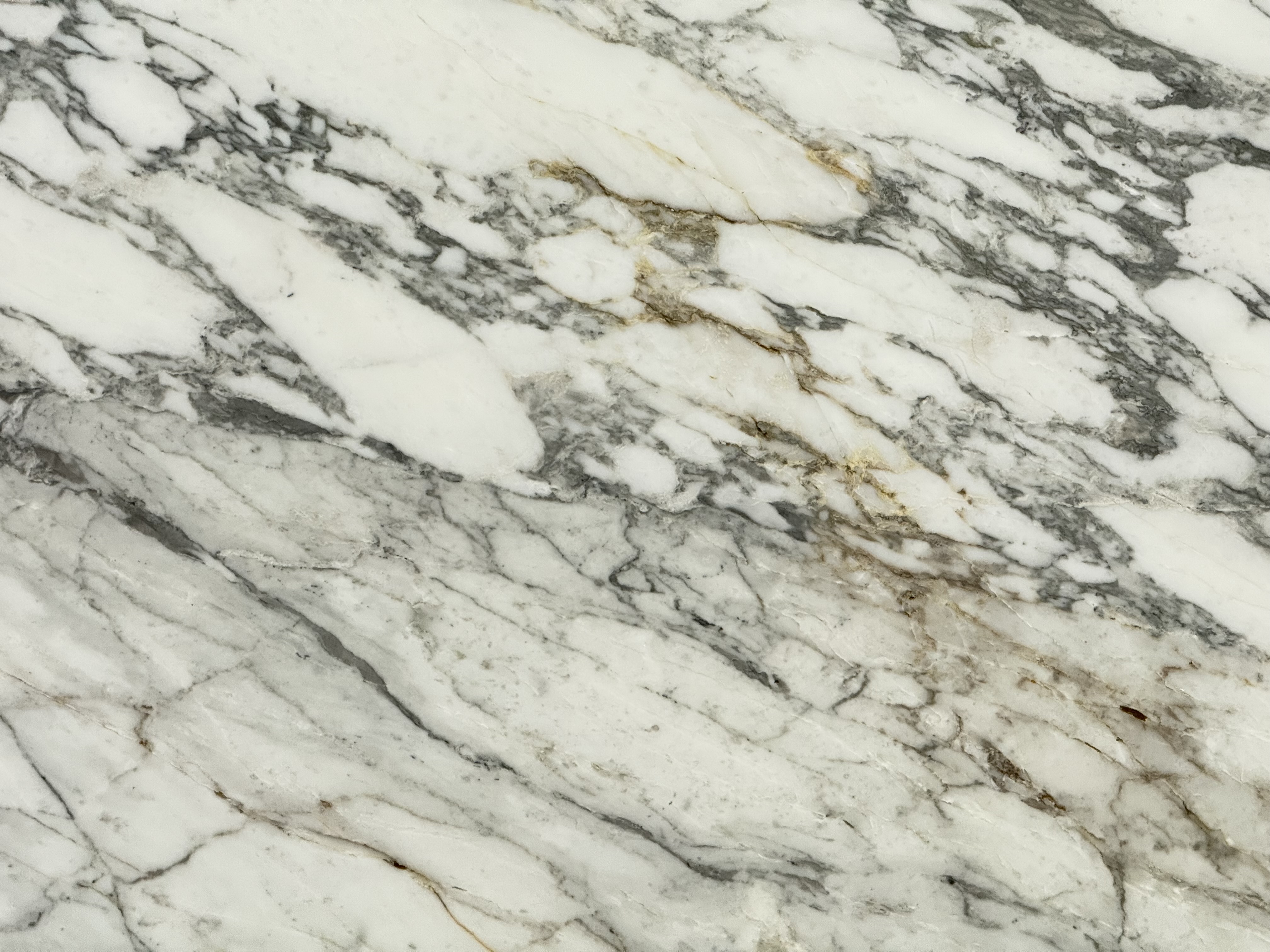 Arabescato Vagli Marble