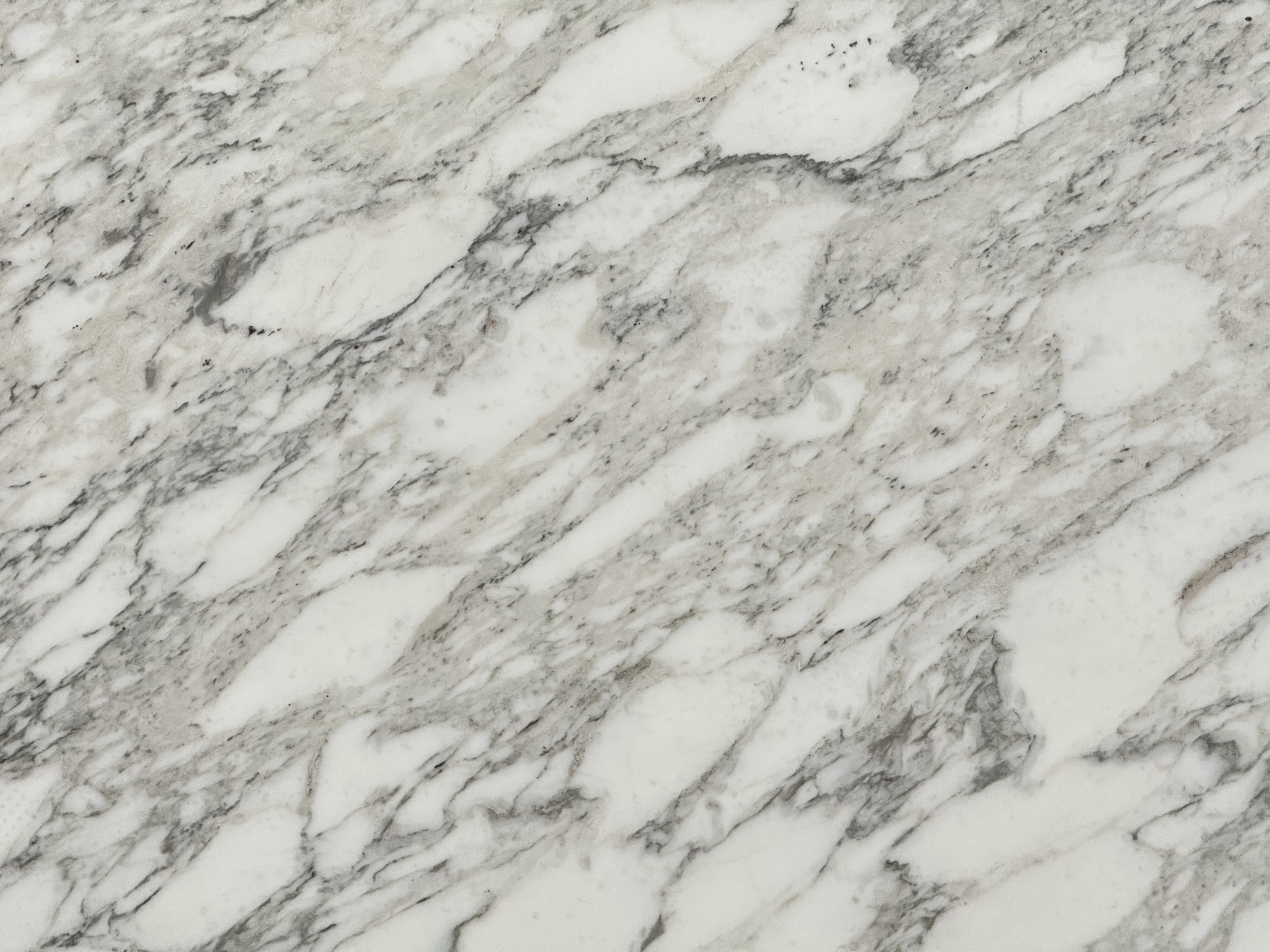 Venato Vagli Marble Marble