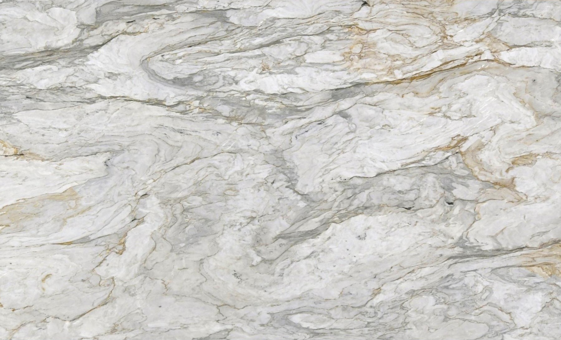 Calacatta Aurora Dolomite Honed