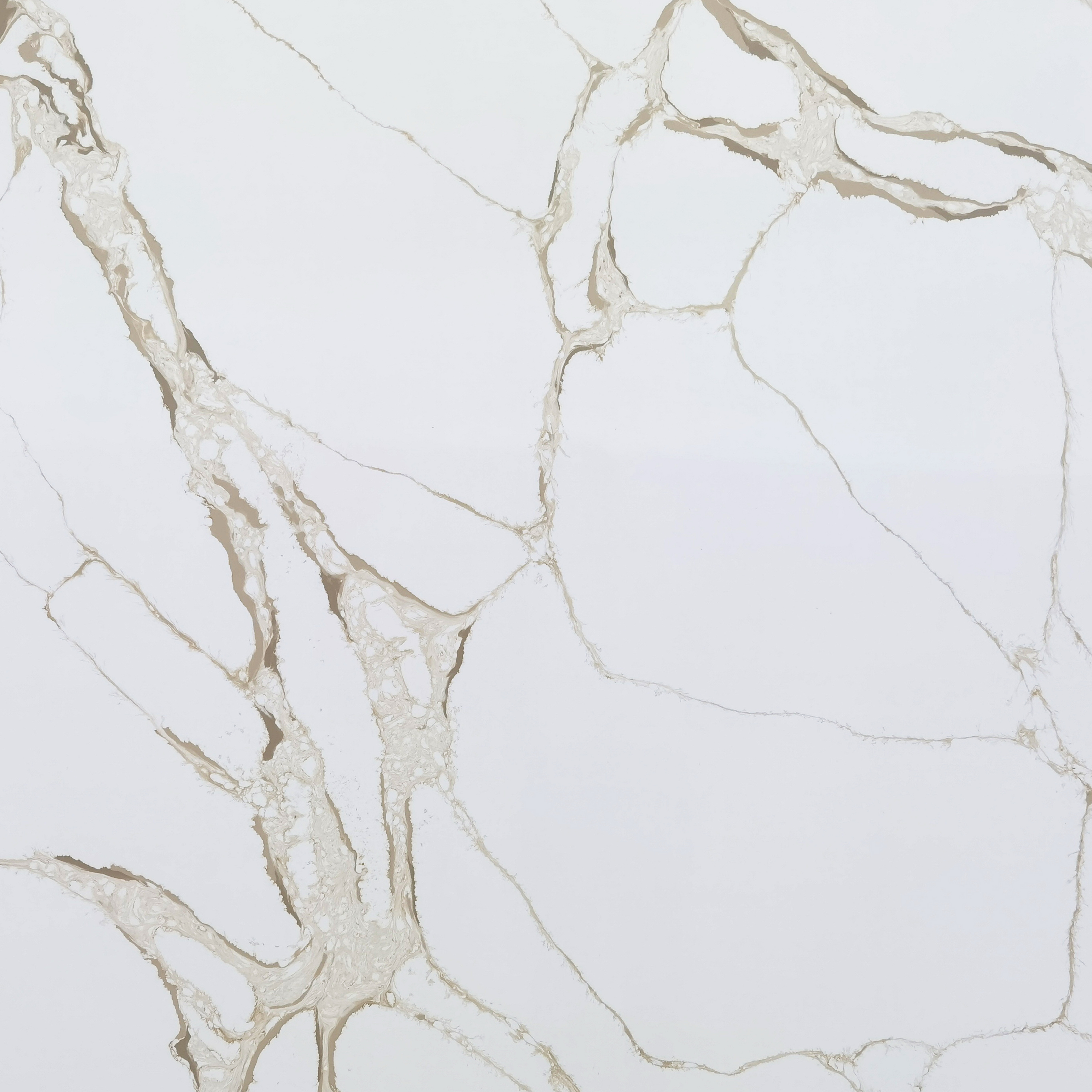 CRS - 3CM Calacatta Crema Jumbo Quartz