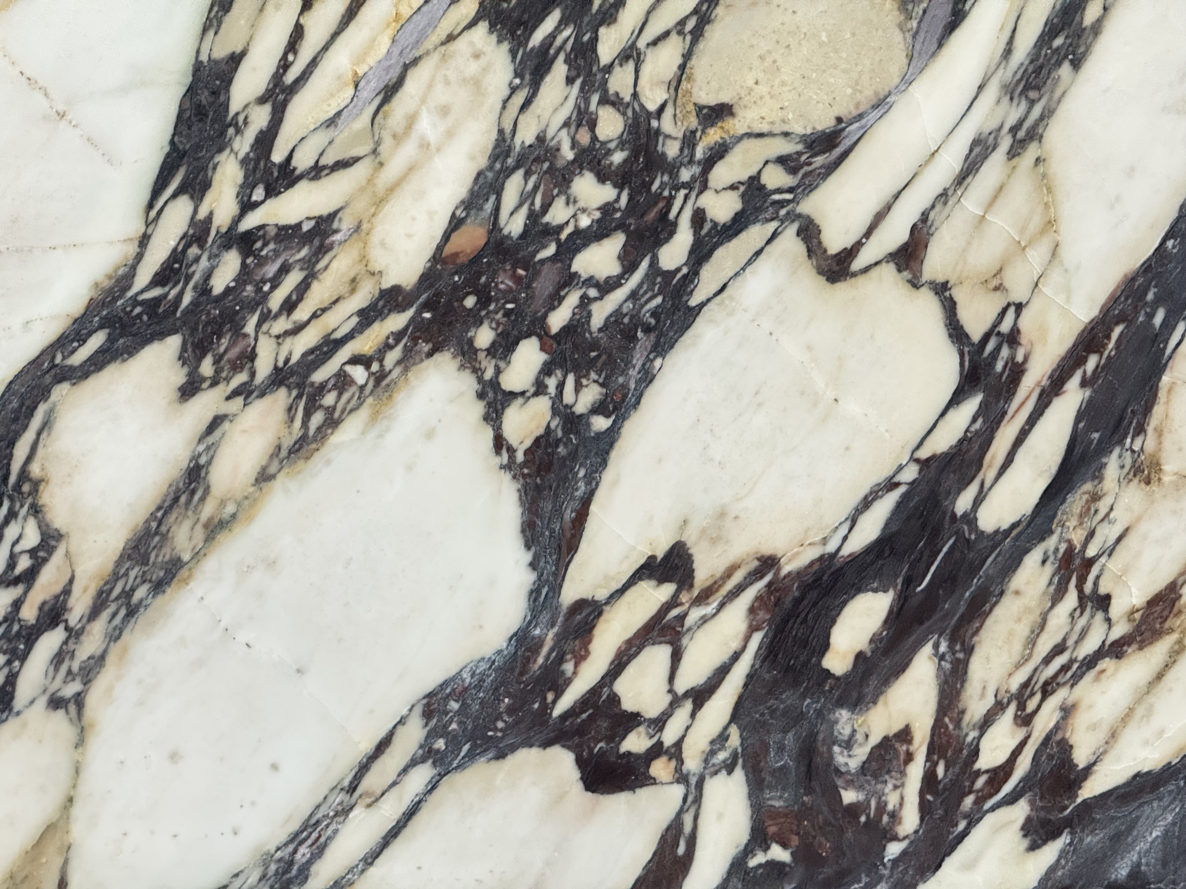 Calacatta Viola Wow Marble Honed Marble