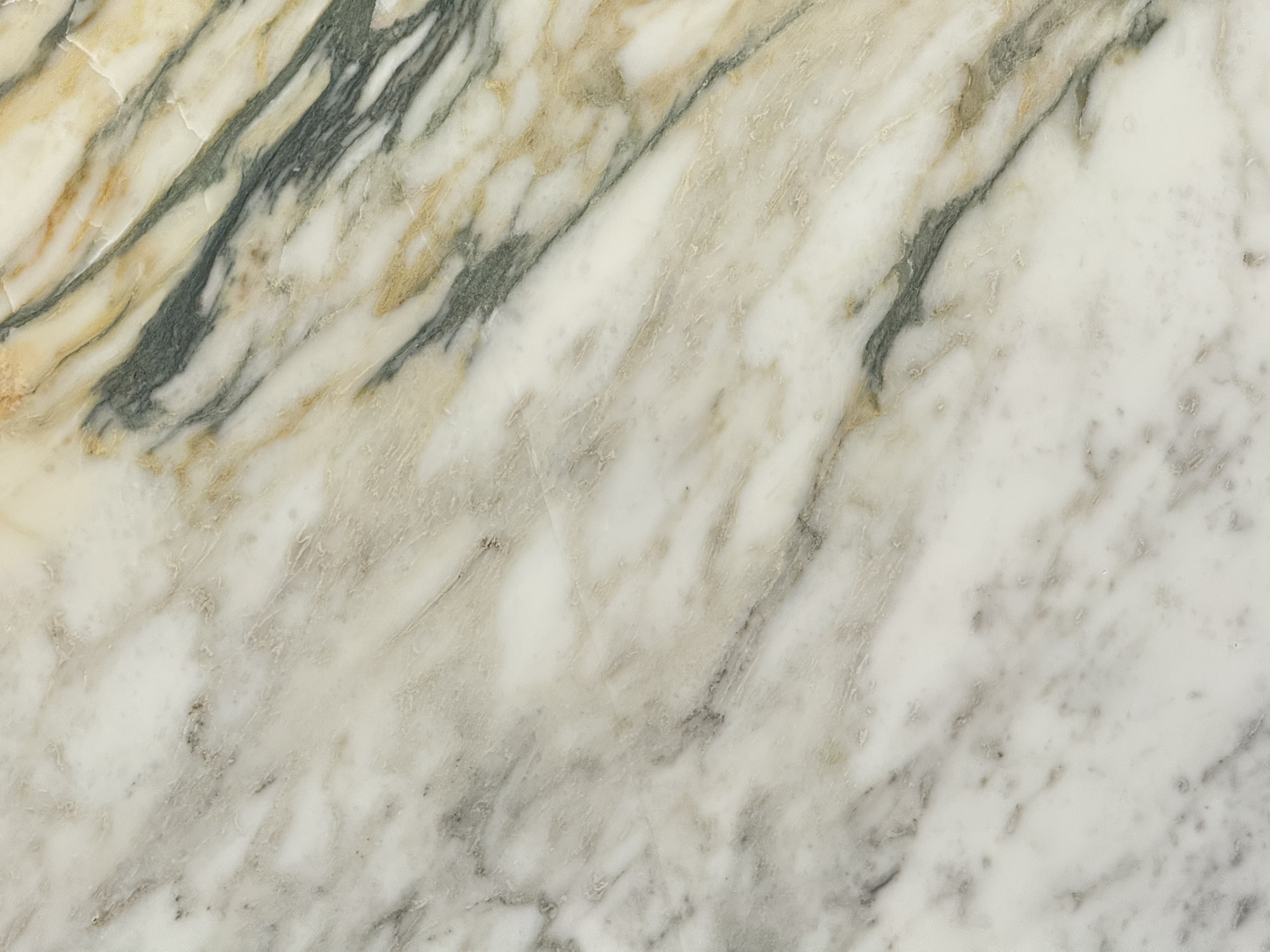Calacatta Monet Marble Honed Marble