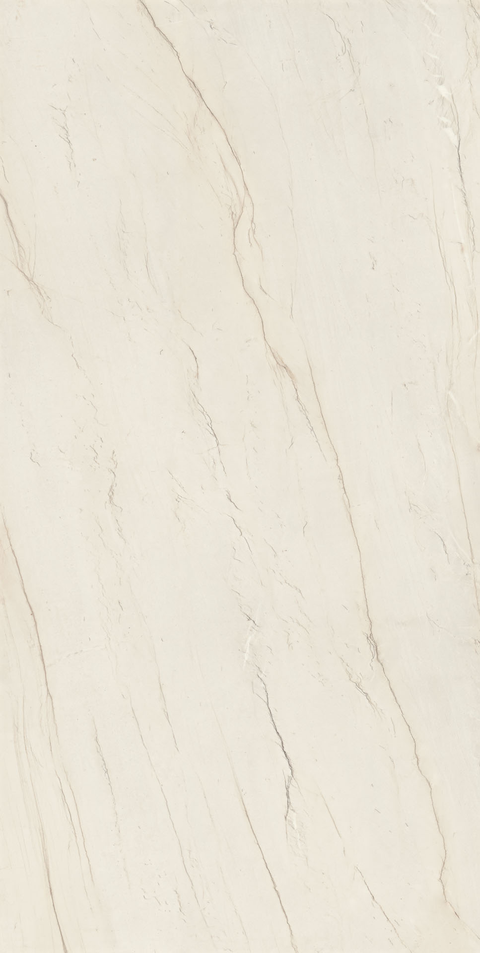Thumbnail 2 of 2 for Infinity - Calacatta Brasile Satin 12mm - Porcelain