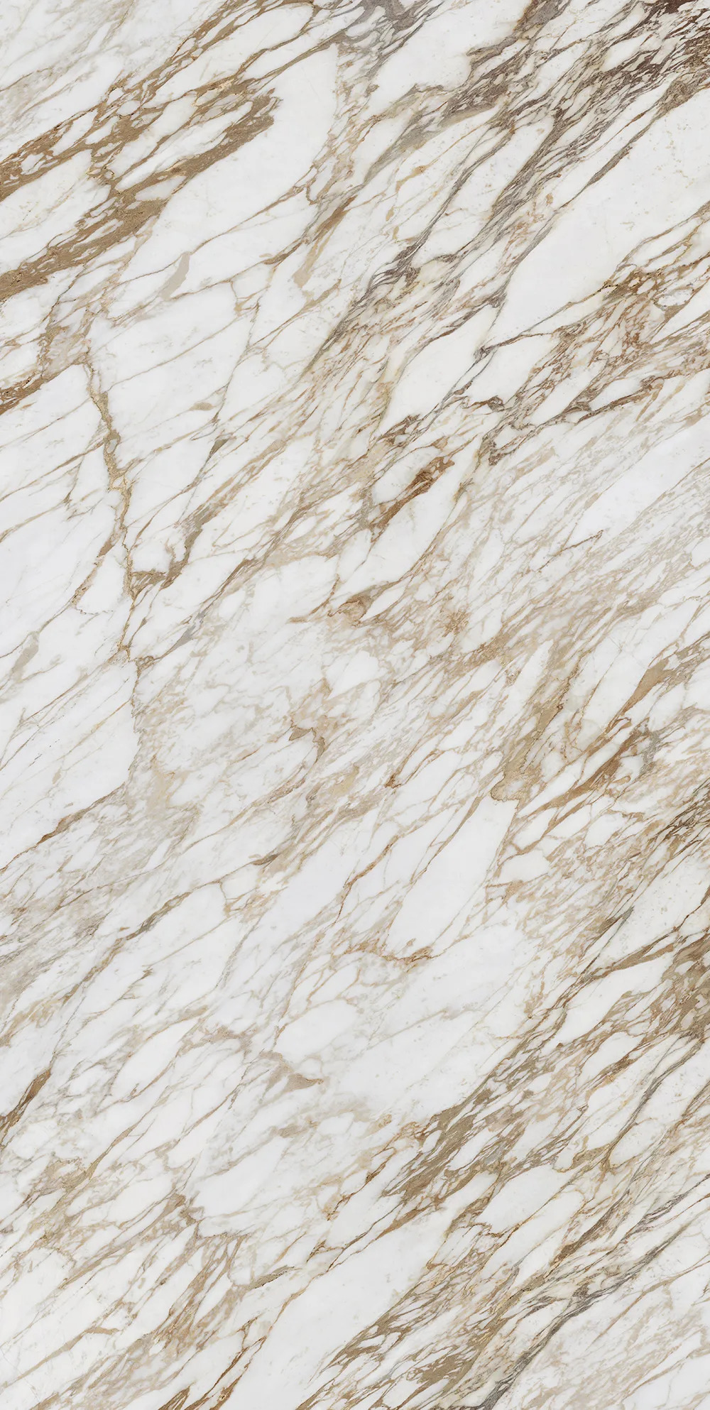 Lot 4268 — Infinity - Arabescato Diva Polished 12mm Porcelain