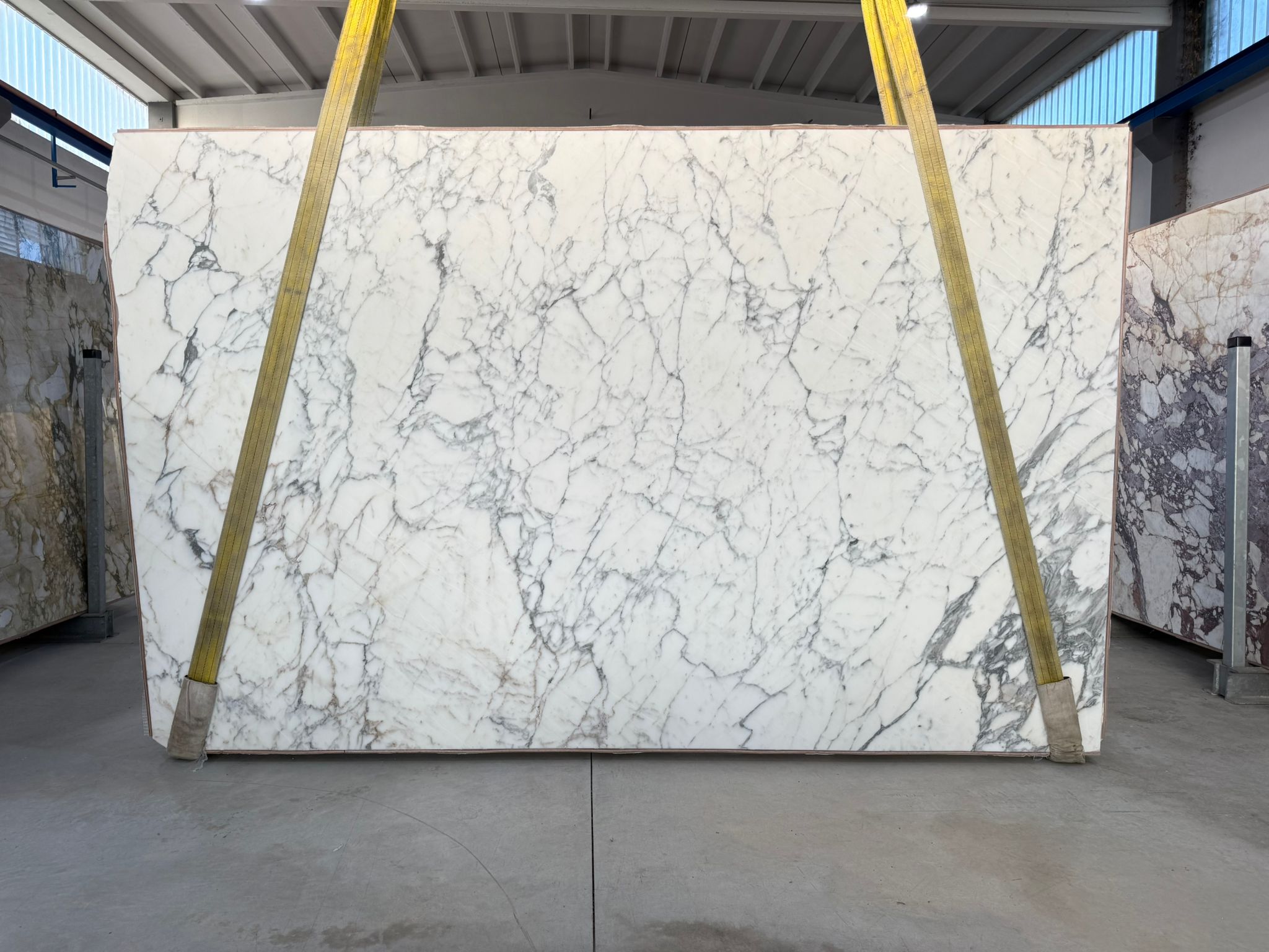 Thumbnail 2 of 2 for Arabescato Corchia Marble Honed