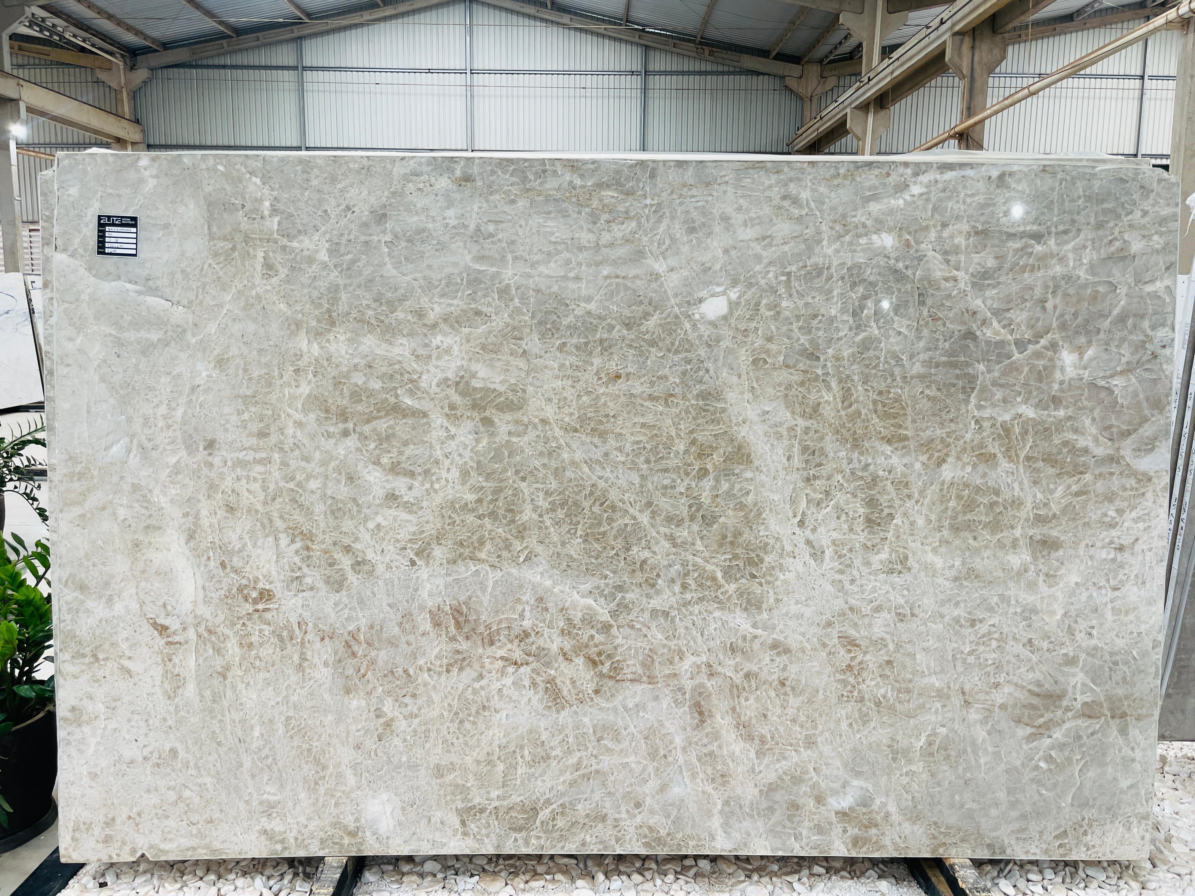 Lot 000000141 — Perla Elegance Quartzite