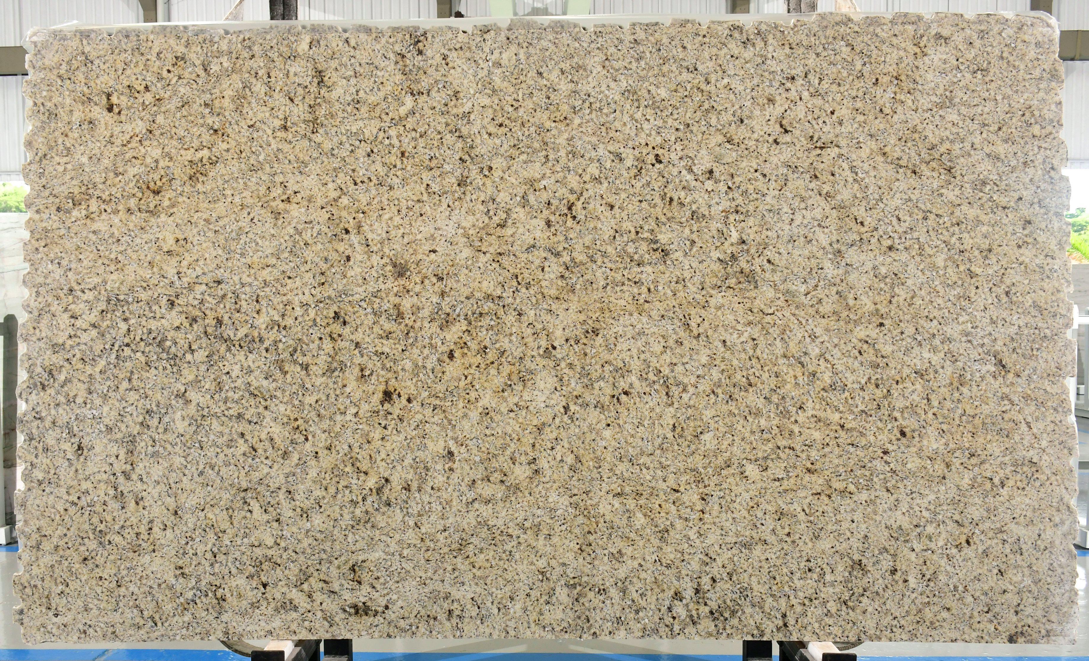 Lot B22765 — Giallo Verona