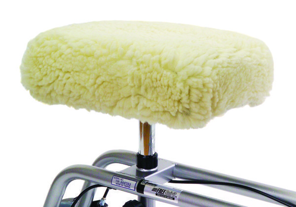 Knee Walker Rental Tampa FL