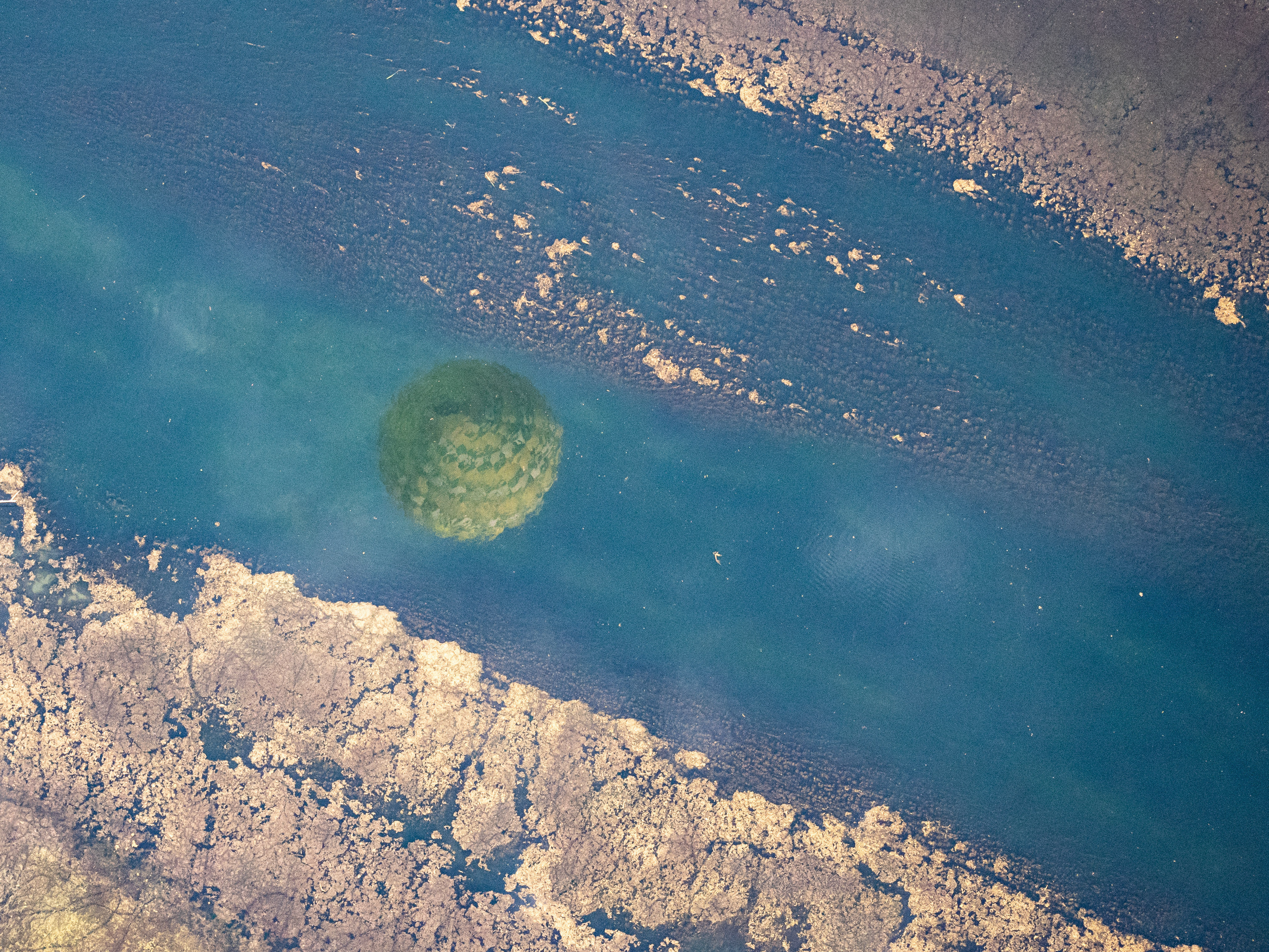 Reflection of hot air balloon over a stream