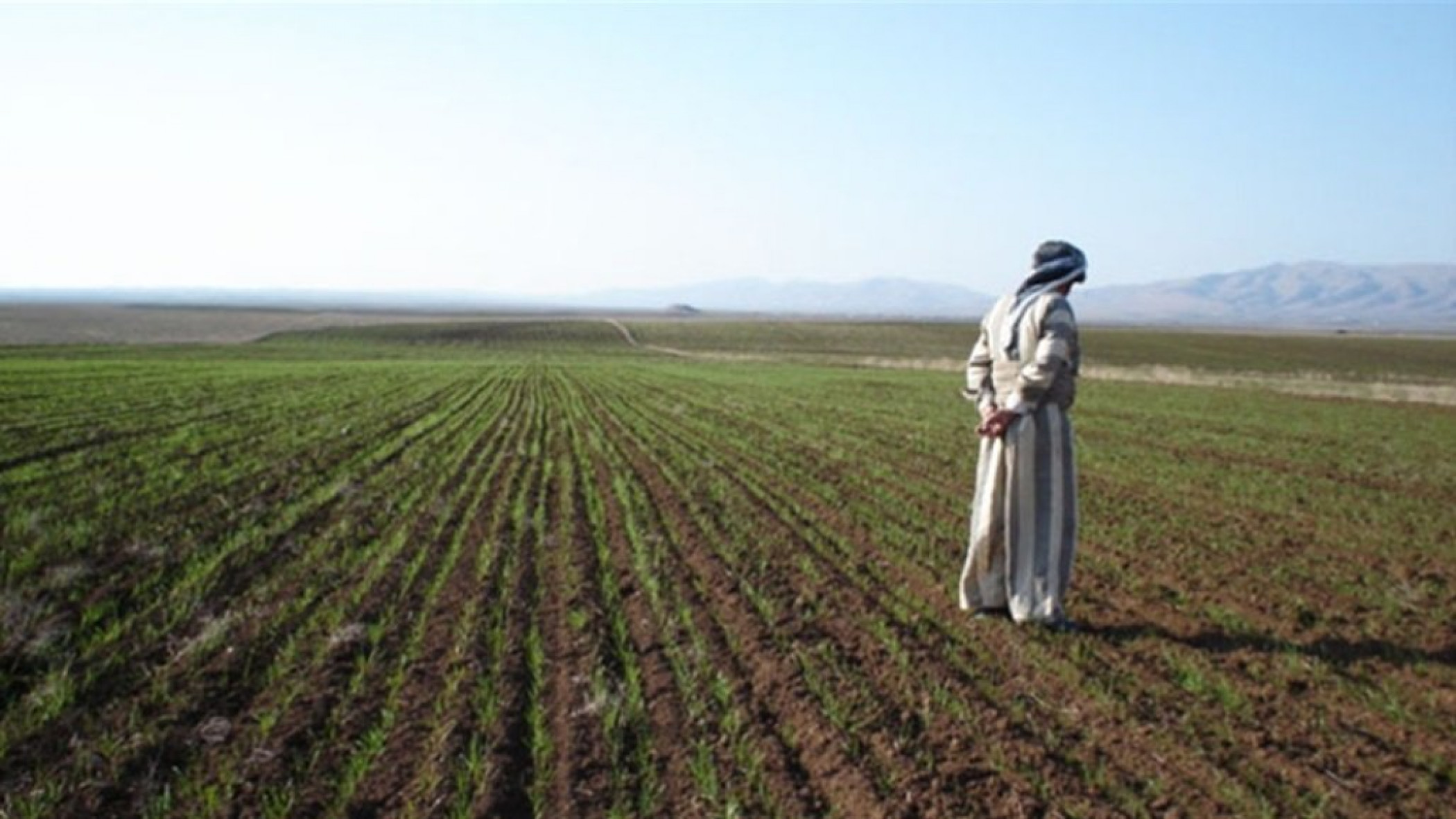 Due to drought internal migration in the southern governorates.