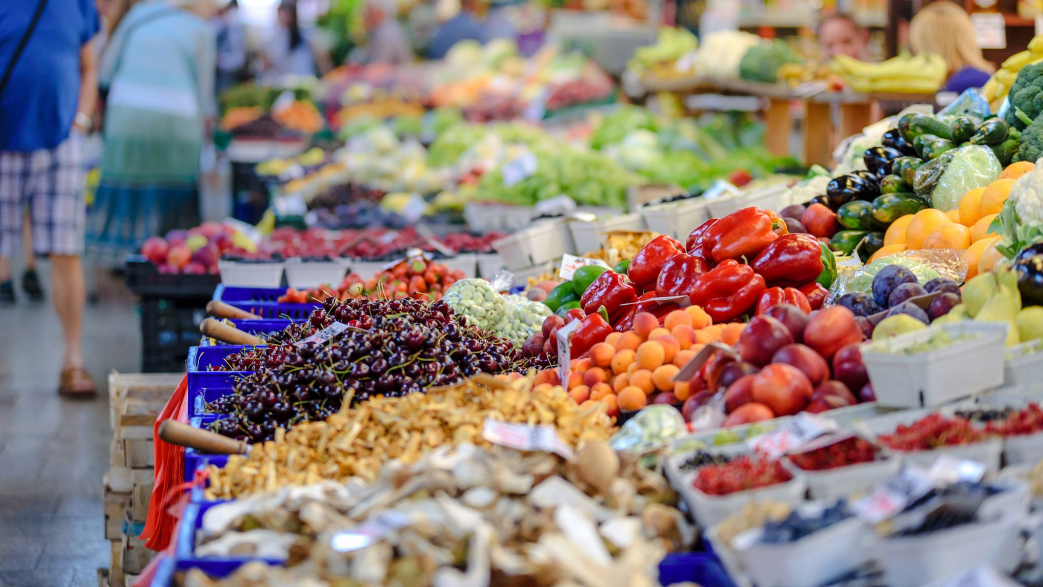Gov. Whitmer Announces Michiganders to Receive Additional Assistance in August to Lower Cost of Groceries