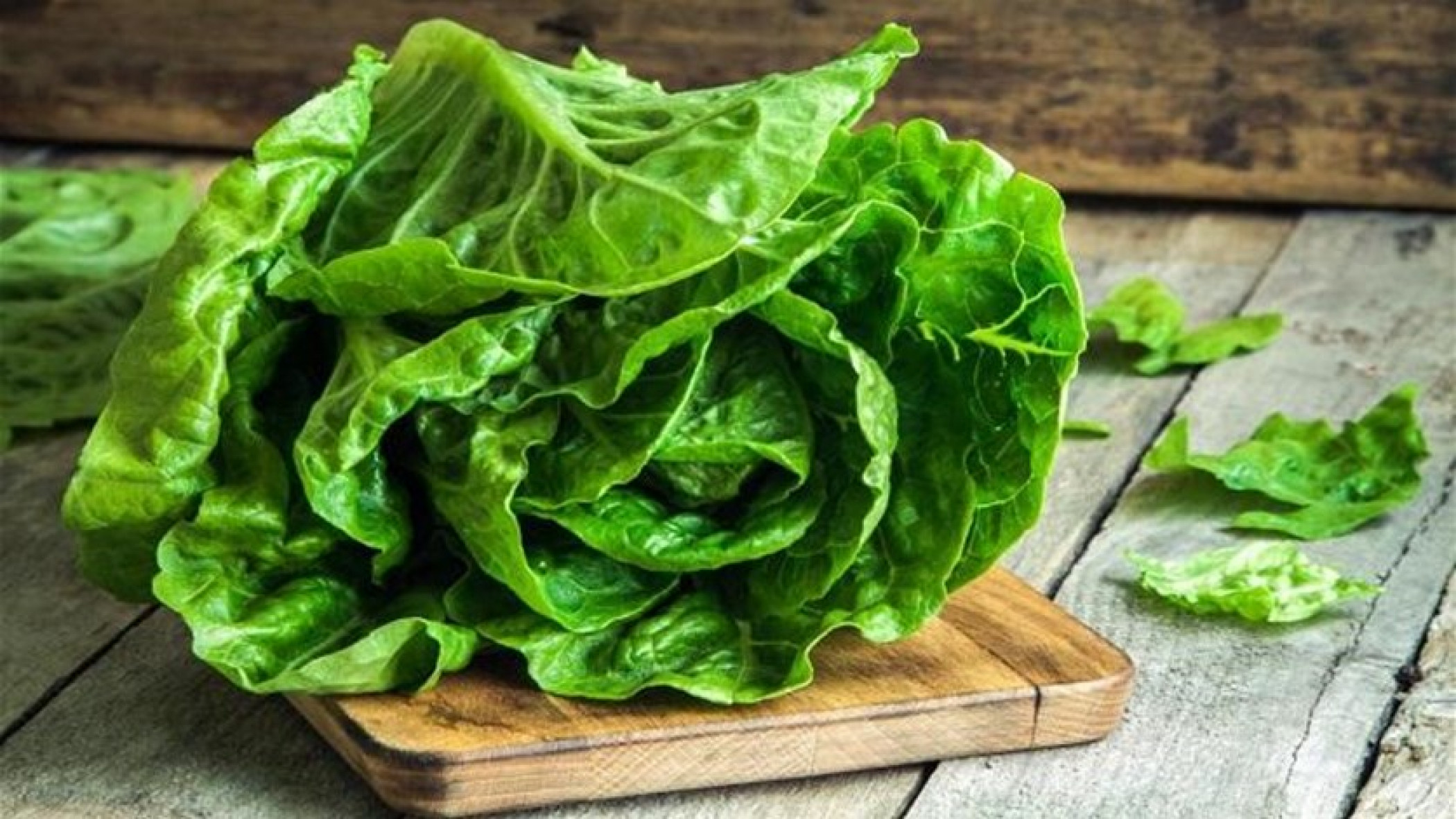 The benefits of lettuce for the skin... What do you know about it?