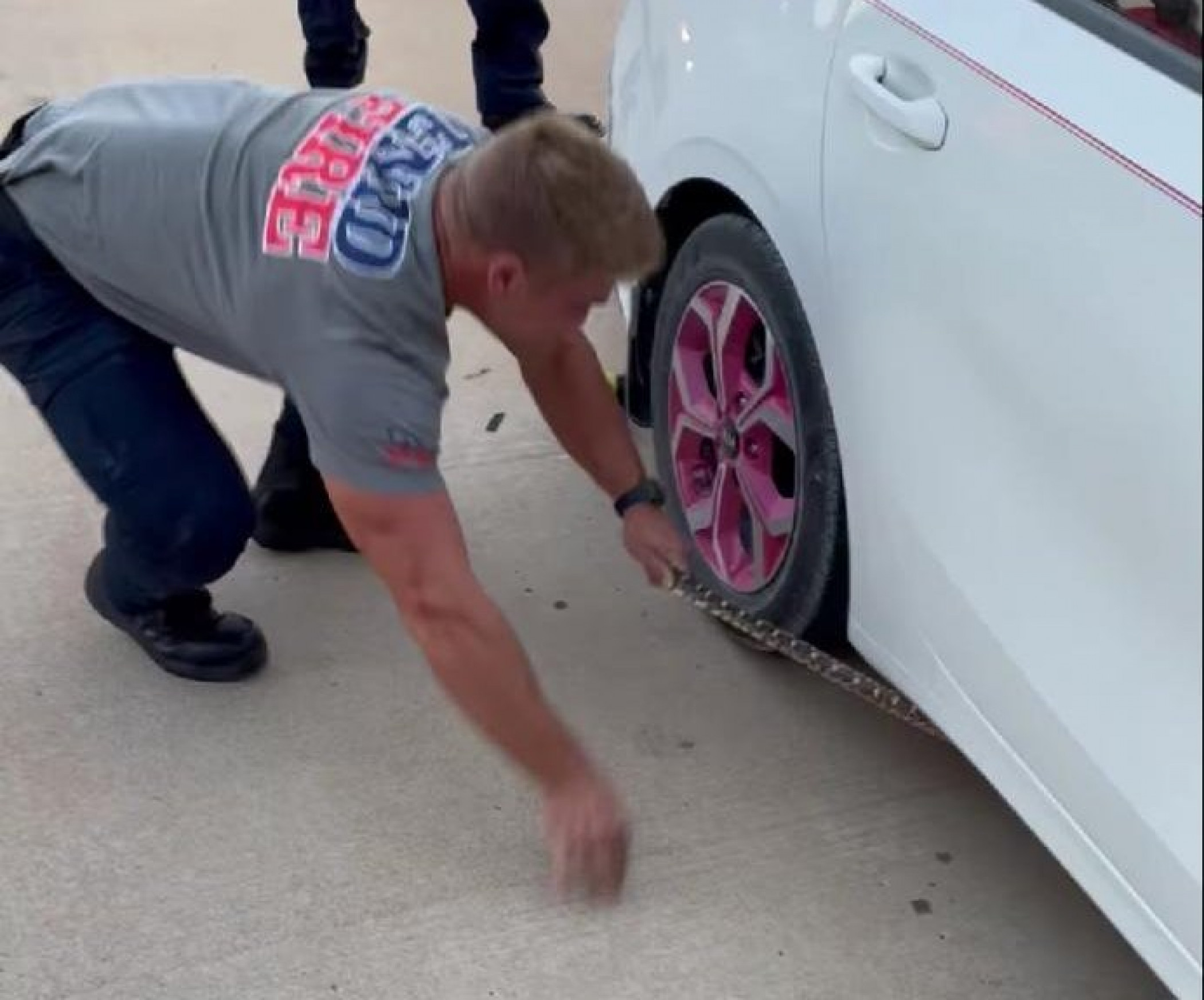 Firefighter wrangles snake that slithered into undercarriage of car