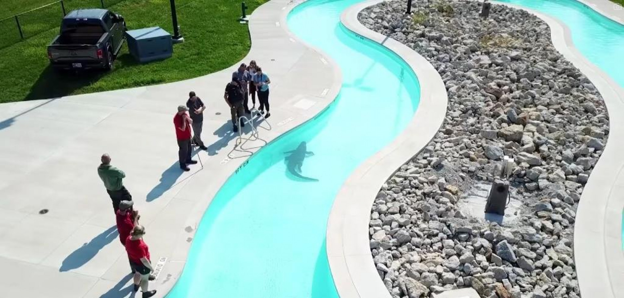Alligator floats along the lazy river at Illinois water park