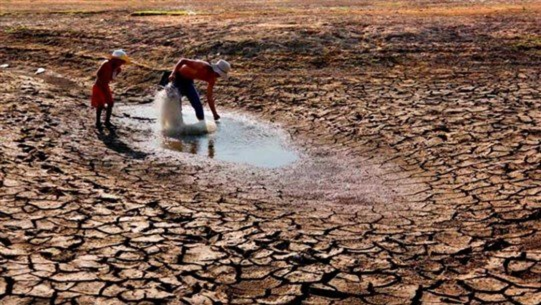 Climate Change at 'Point of No Return', Says Primatologist Goodall