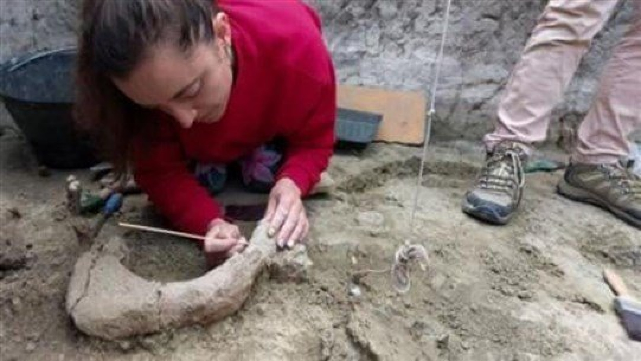 Chilean Scientists Discover 12,000-Year-Old Elephant Remains