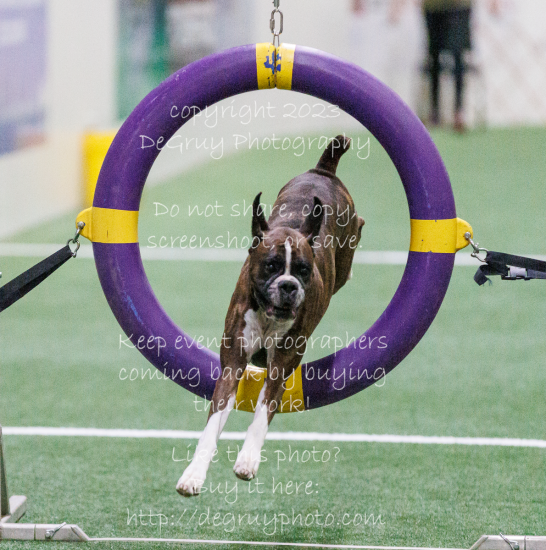 Red Stick Agility - St Gabriel Sept 29-30, Oct 1, 2023
