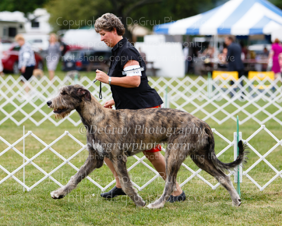 Cudahy KC Irish Wolfhounds, August 2013