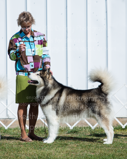 Rockford-Freeport KC, October 2012 - Malamute Specials