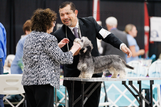 Dandie Dinmont Club of America National Specialty