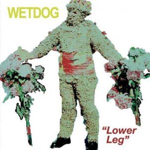 Lower Leg