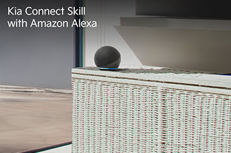 Lets you control your Kia from the comfort of your home.