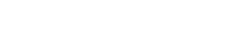 FleetPulse Logo