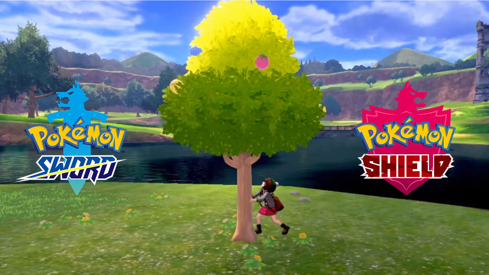 Pokemon Sword & Shield players stunned by viral tree shaking trick
