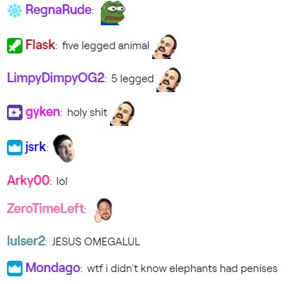5-legged elephant twitch chat