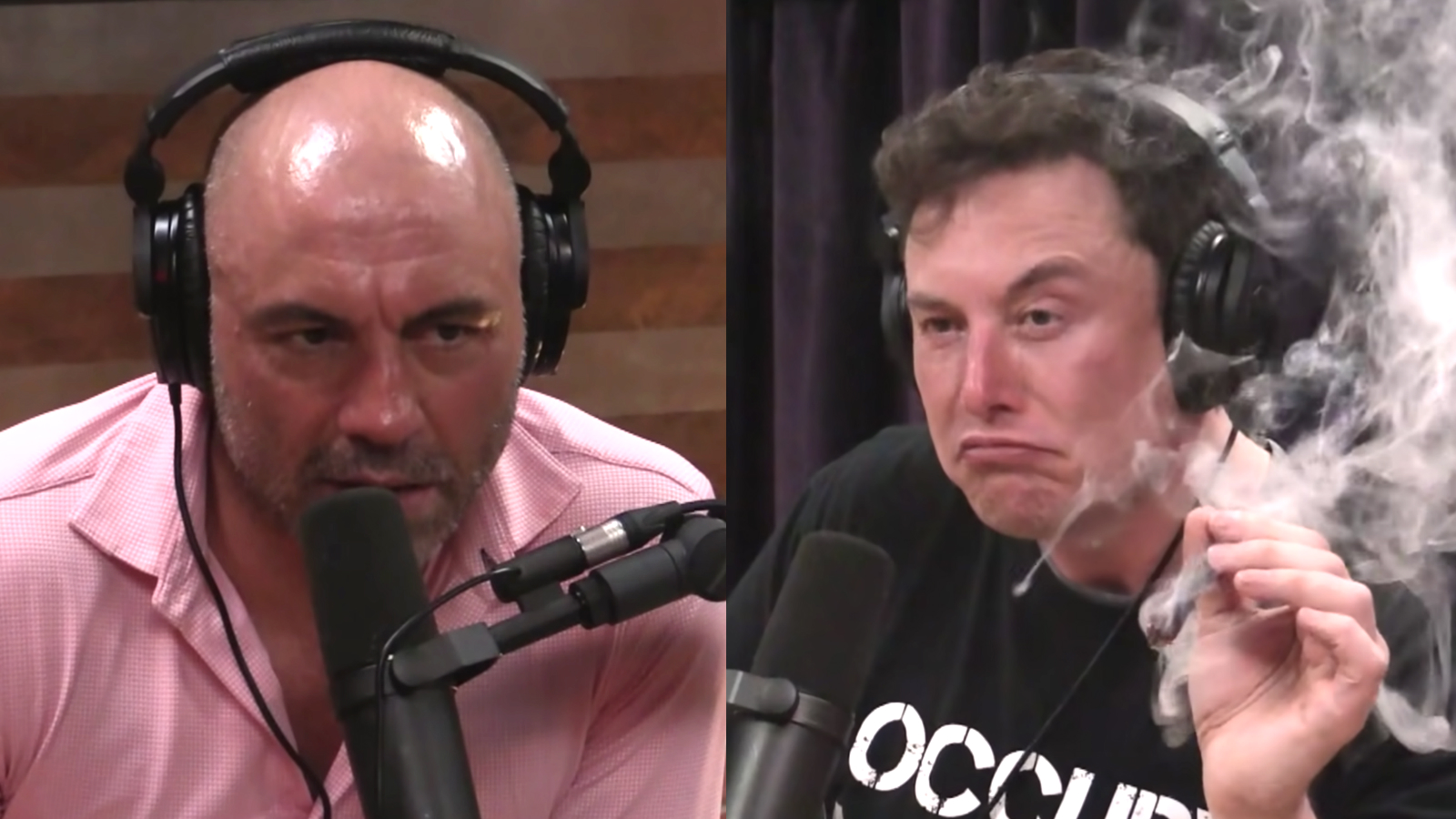 Joe Rogan And Elon Musk Talk About Monkeys Youtube