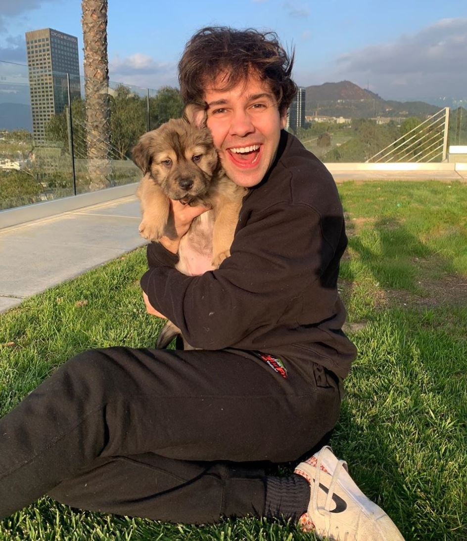 David Dobrik Shocks Fans With Life Changing Hidden Cash Gifts Dexerto