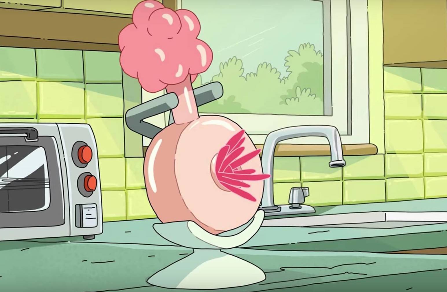 A plumbus from Rick and Morty.